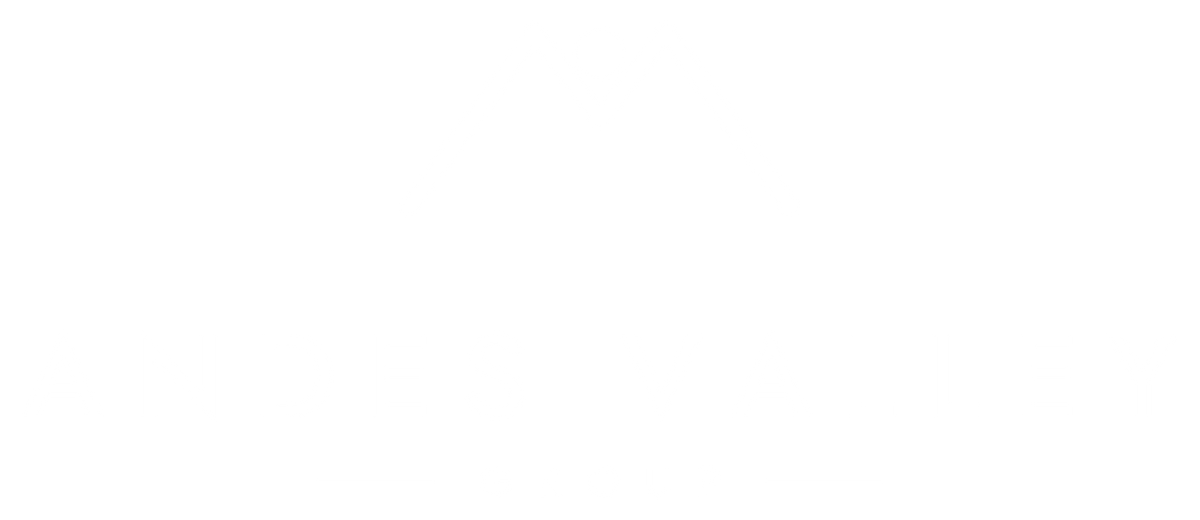Andes Valley Group