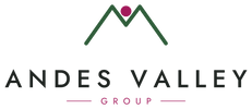 Andes Valley Group - Inicio